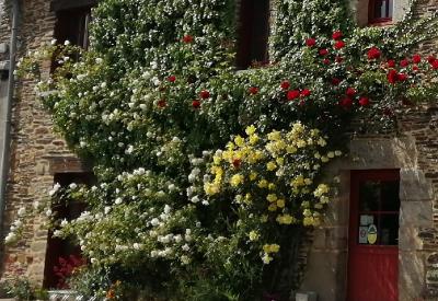 O'délices de So - Monterrein - crêperie - Ploërmel - Morbihan