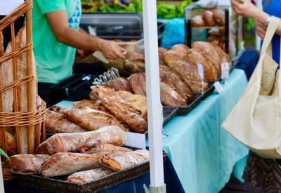 Pain©dave-takisaki_unsplash