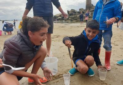 Pêche à pied - Côte de Granit Rose - Pleumeur Bodou - Escapade Glaz - Juillet 2020 (26)