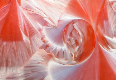 Philippe-Ladouce-pot-Martine-A3-300ppi-Srvb-800x566