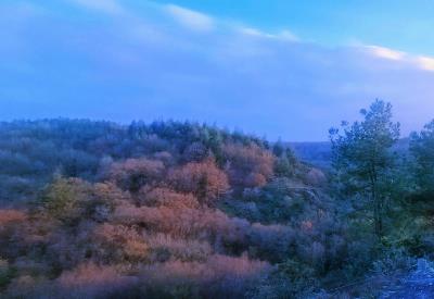 balades_contées_gouter_hiver_valsansretour_trehorenteuc_DestinationBroceliande