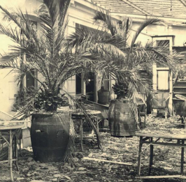 © Service patrimoine - Ville de Dinard