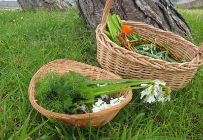 Plante Sauvage Cuisine et cosmétque - Escapade Glaz