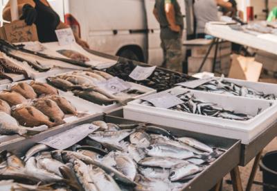 Poissons©marko-markovic_unsplash