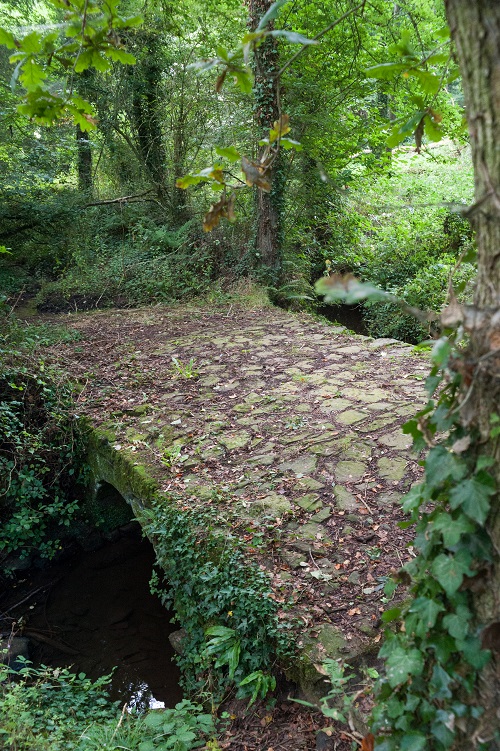 Visuel non libre de droit - Séverine Richard