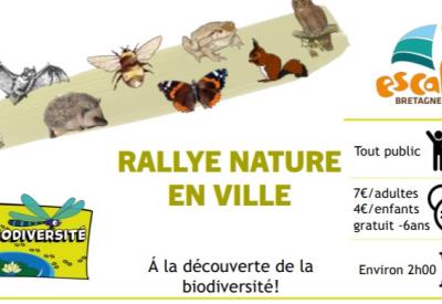 Rallye