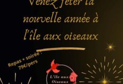 Réveillon de l'île aux oiseaux