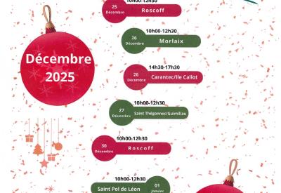 SKM_C3350i25122016071_page-0001