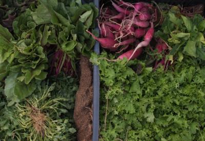 Salade©peter-feghali_unsplash