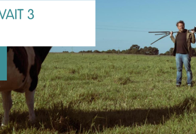 Mon père avait 3 vaches