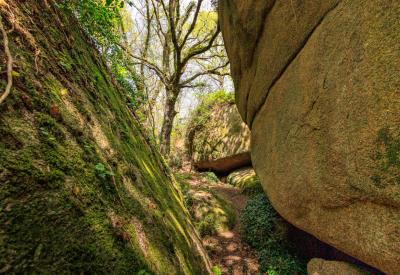 Vallée Traouiëro - Visite Guidée Bretagne -  @ escapade glaz  (6)
