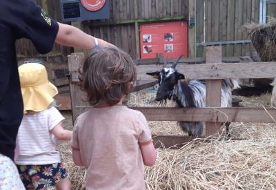Visite-de-la-ferme-pedagogique-du-domaine-Rencontres-de-Menez-Meur-29.06.2025-cL.Jardry-PNRA1-scaled-1536x1018