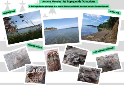 L'Armorique sous les Tropiques