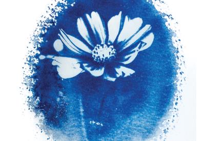 affiche mélanie colin novembre 2025