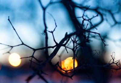 aida-l-5oWbFJP2C0E-unsplash