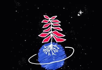 allo_cosmos_1_aacd75e5e5