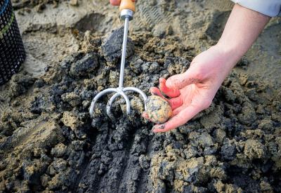 Apprendre_a_pecher_coquillages