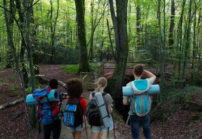 celliers_landean_modifie