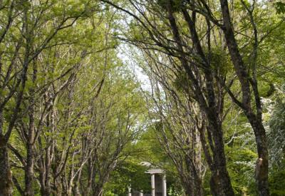 champs des martyrs brec'h