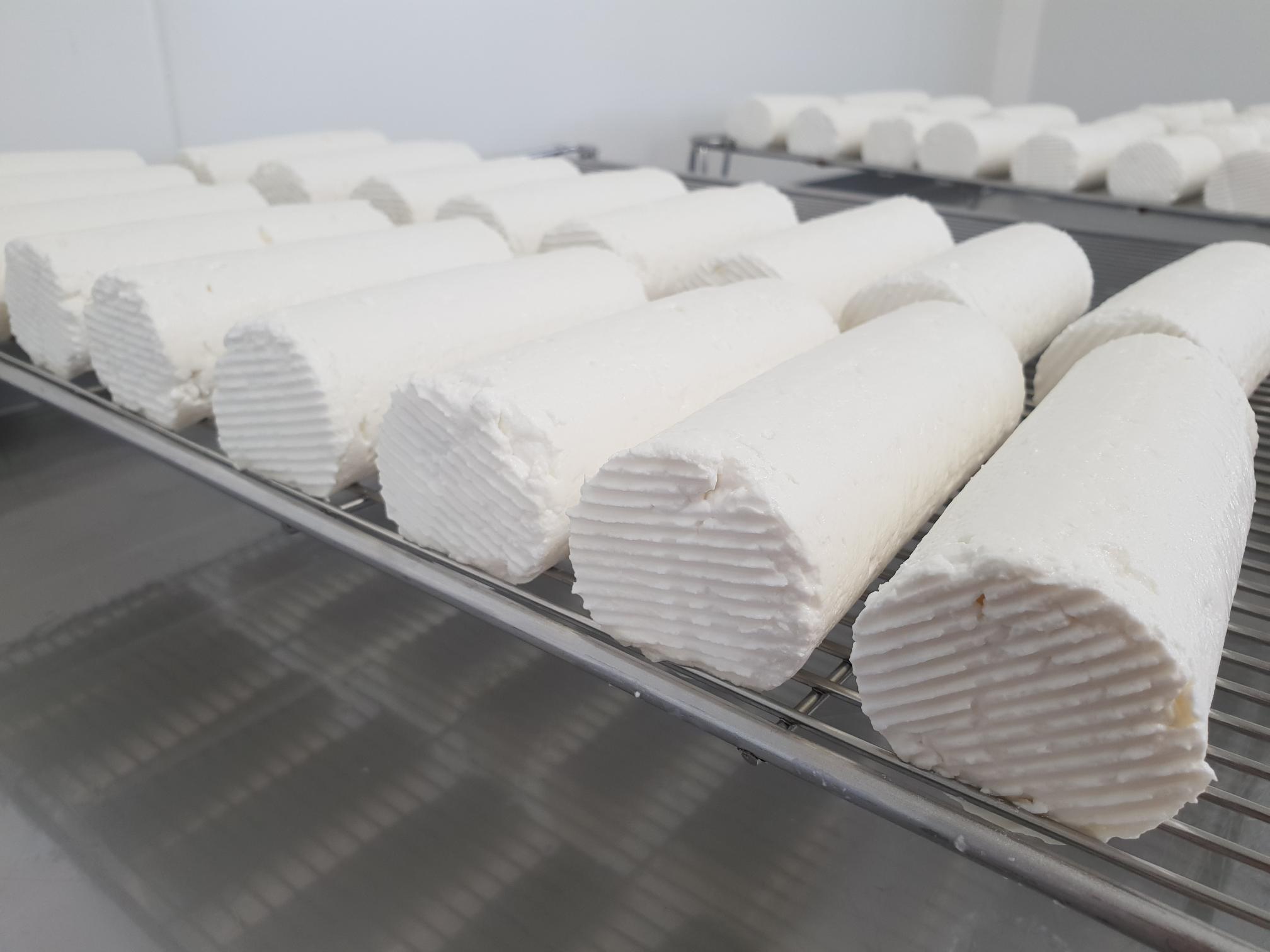 Visuel non libre de droit - Chèvrerie de Kerdibique