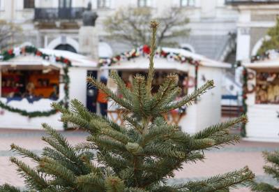 christmas-tree-6879069_1280