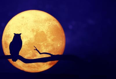 Full moon in the night sky