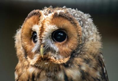 doncoombez-SXdEPWGRvUE-unsplash