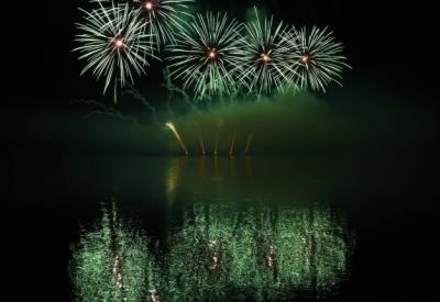 feux-d-39-artifice-vert-la-nuit_freepik