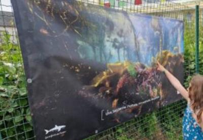 franck-daouben-expo-photo-e1765527960750-300x279