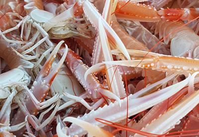 Fête de la langoustine - Plobannalec-Lesconil - Pays Bigouden - Bigoudenjoy