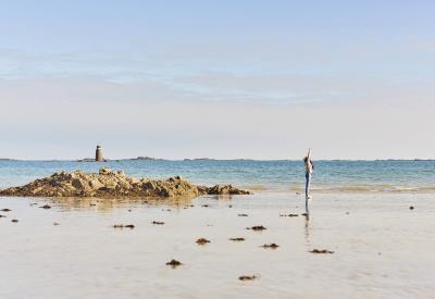 ile-comtesse-saint-quay-portrieux-©A.LAMOUREUX