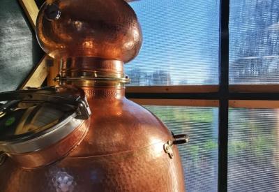 Visite de Mammen  distillerie  - Pouldreuzic - Pays Bigouden