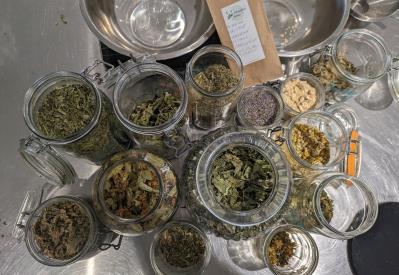 Formation phytothérapie 12 mois - 10 séances à Auray