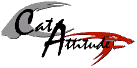 logo-catattitude