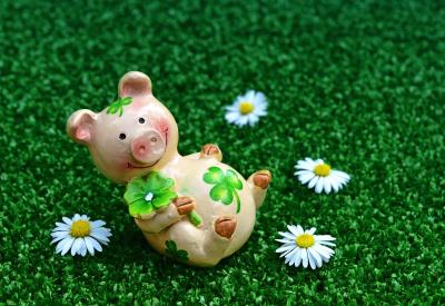 lucky-pig-3838149_1280