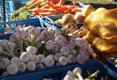 Marché de Belz