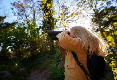 Balade nature - Ornithologie - Pont l'abbé - Pays Bigouden - Bigoudenjoy
