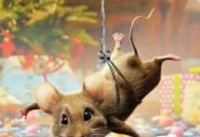 Panique à Noël au cinéma La Belle Equipe