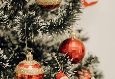 pexels-julianemonarifotografia-18688774