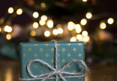 pexels-thais-araujo-808424-1681147