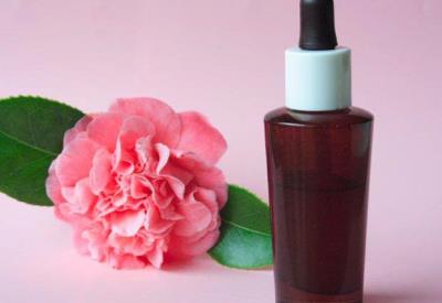 Atelier cosmétique - Pont -l'Abbé - Pays bigouden