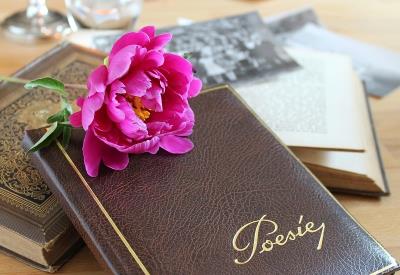 Festival - Slam - Poésie - Josselin - Brocéliande - Morbihan - Bretagne