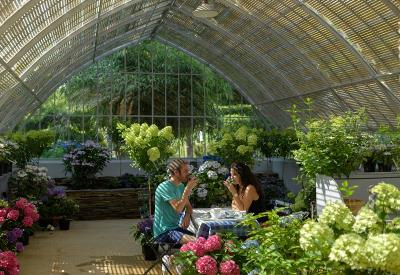 salon-de-the-TS--Emmanuel-Berthier