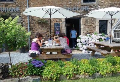 salon de thé - maison de l'hortensia - Taupont - Morbihan - Bretagne
