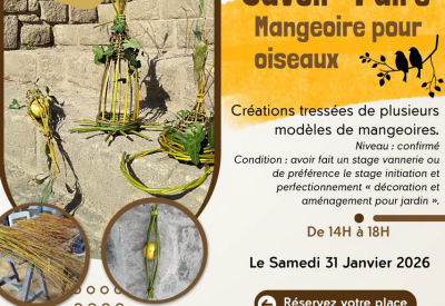stage mangeoire aux oiseaux