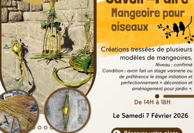 stage mangeoire oiseaux 2