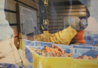 Exposition Rivages partagés